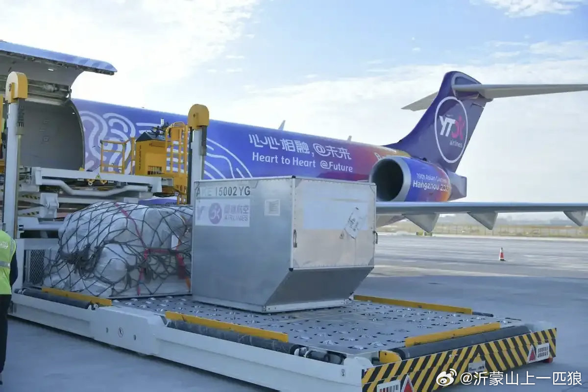首架C909医疗机交付首架C909医疗机交付，医疗航空新时代的里程碑