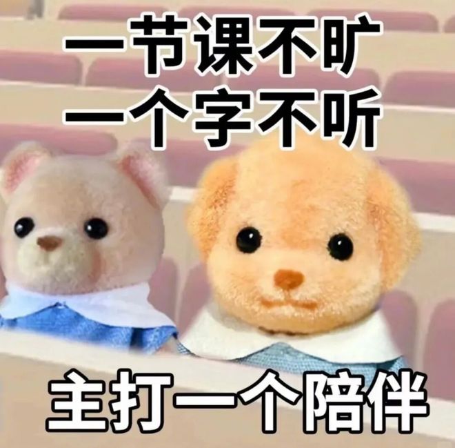 乃万称目前单身乃万单身状态揭秘，独立女性的生活态度与选择